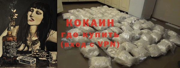PSILOCYBIN Няндома