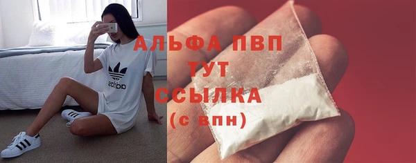 PSILOCYBIN Няндома