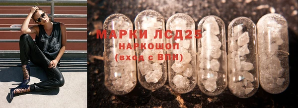 PSILOCYBIN Няндома