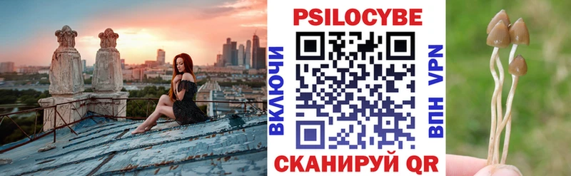 Псилоцибиновые грибы Psilocybine cubensis  Светлогорск 